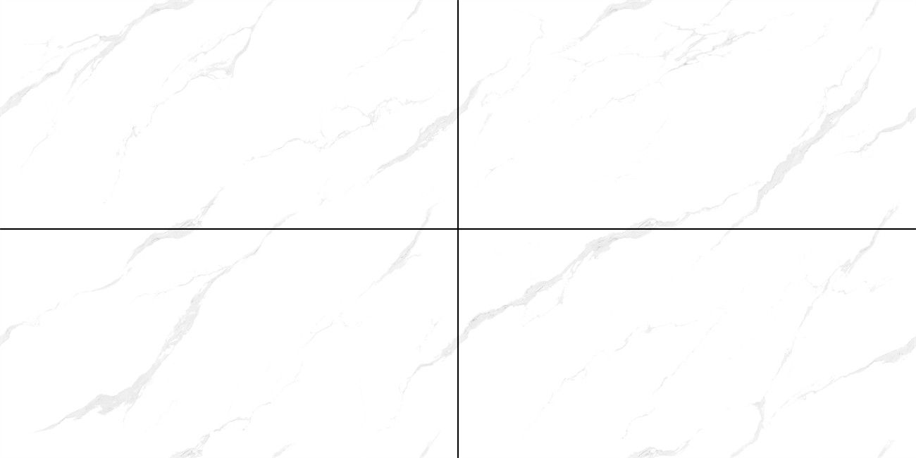 TS48A20P路易斯白