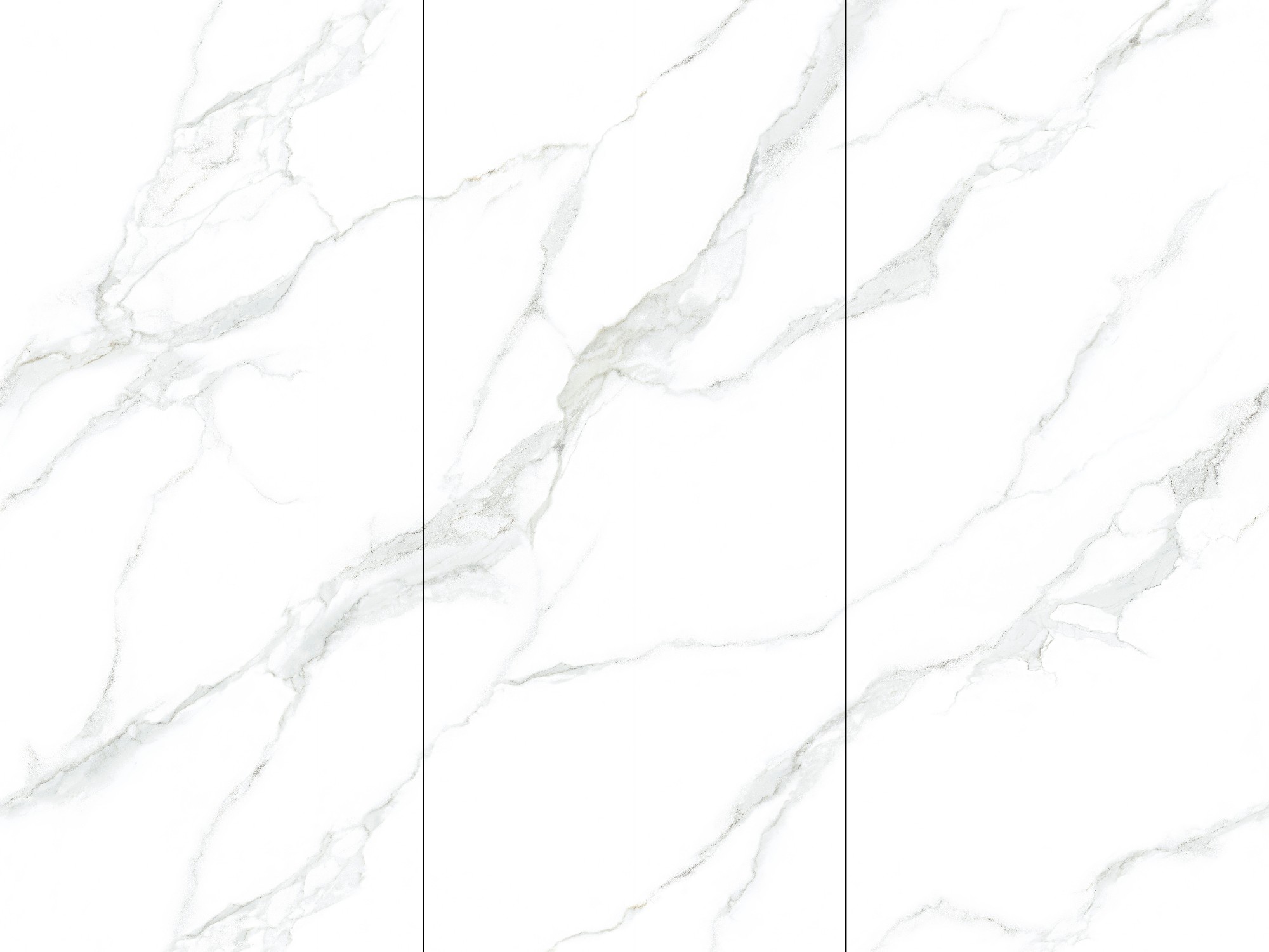 12Y127802A-1-2-3_皇家魚肚白_3面_左右無限連文