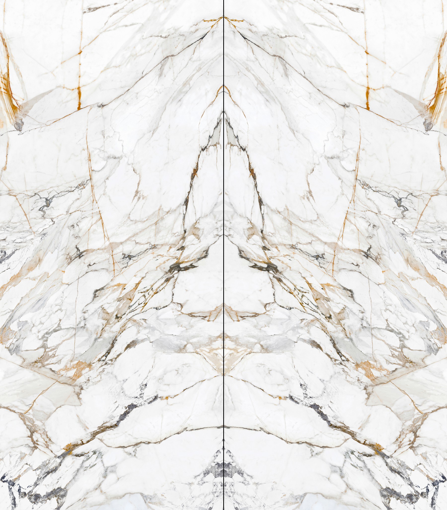 12S1432316A-1-2_鎏金歲月-2面鏡像對紋