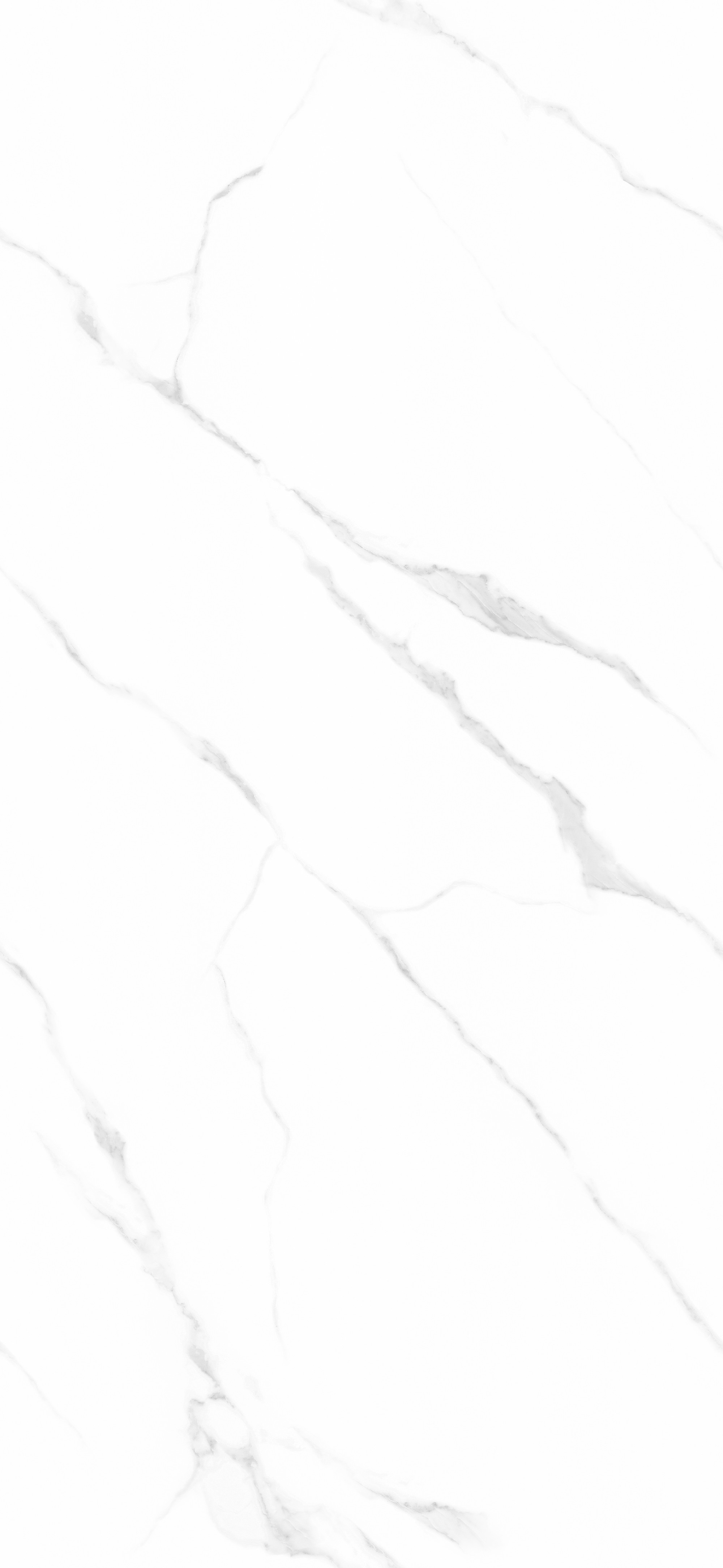 15Y126104A_意大利魚肚白_1面-上下左右無(wú)限連紋