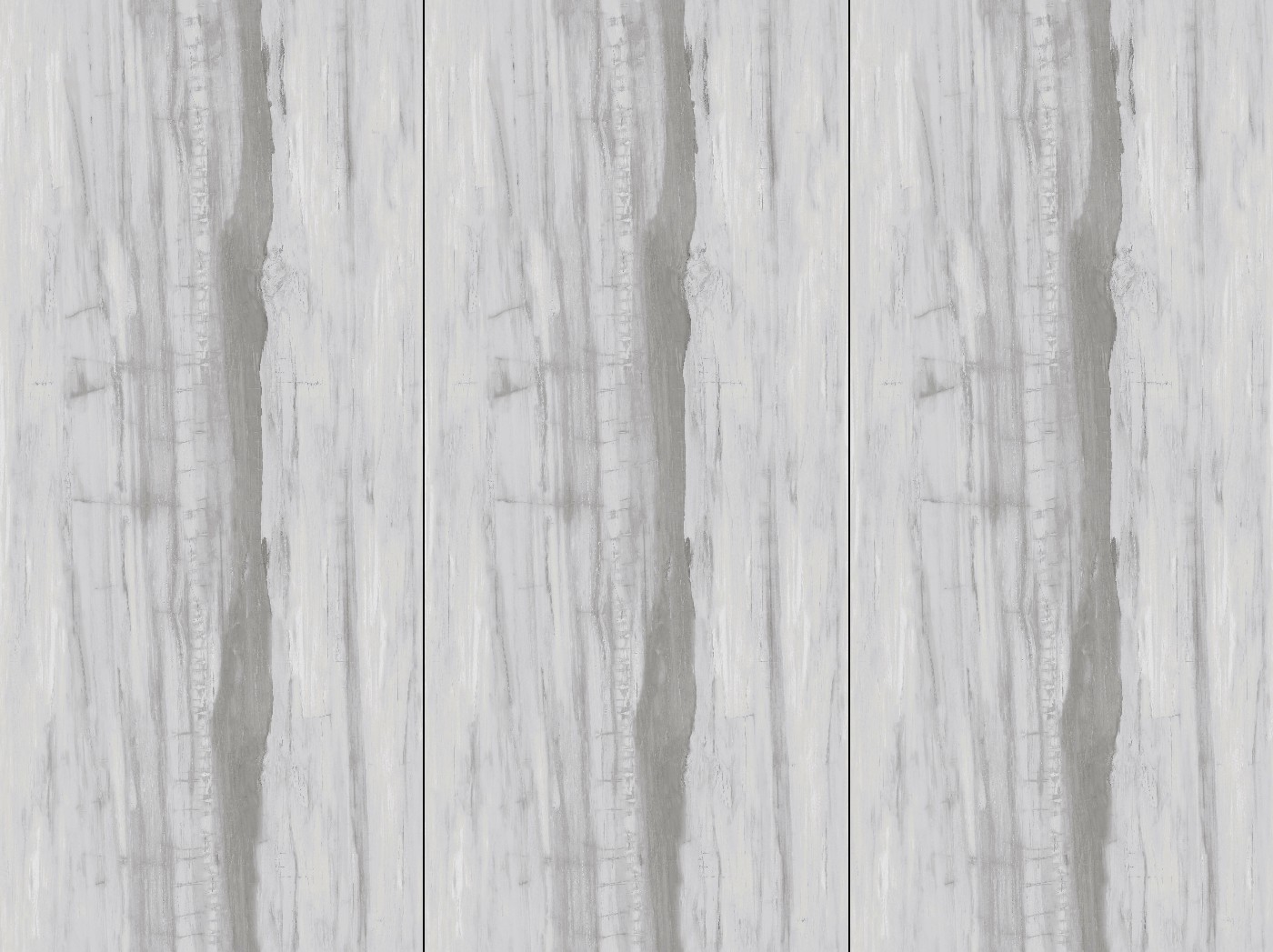 12S127920B_木化石__1面_混鋪-