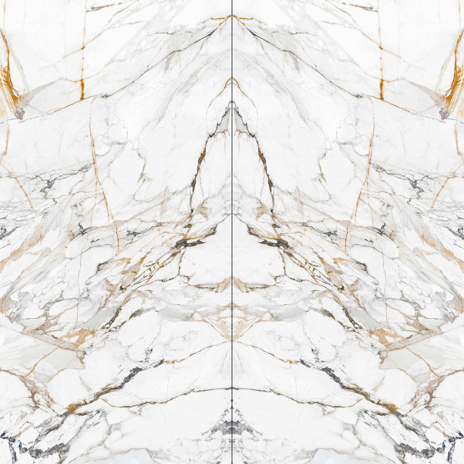 12Y1632521A-1-2_鎏金歲月-2面鏡像對(duì)紋